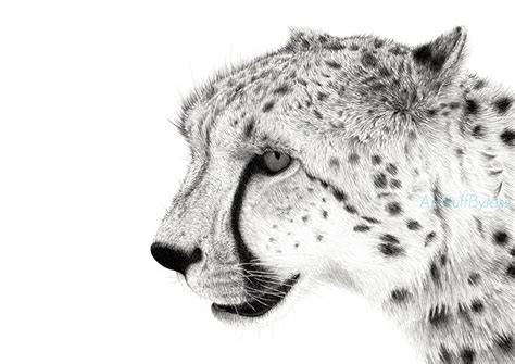 Cheetah Drawing Giclee Print Fine Art Graphite Pencil Etsy