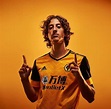 Fabio Silva: The expert take on Wolves' club-record signing | Express ...