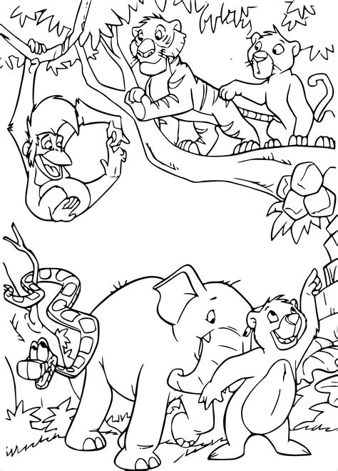 Coloriage Animaux Jungle Inspirant Images Coloriage Livre De La Jungle