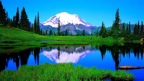 Beautiful Forest Lake Wetland Hd Desktop Wallpaper Mount Rainier