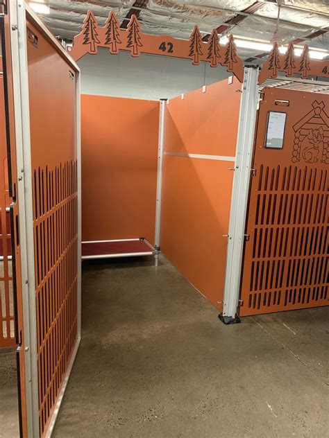 Photo Gallery | Camp Bow Wow