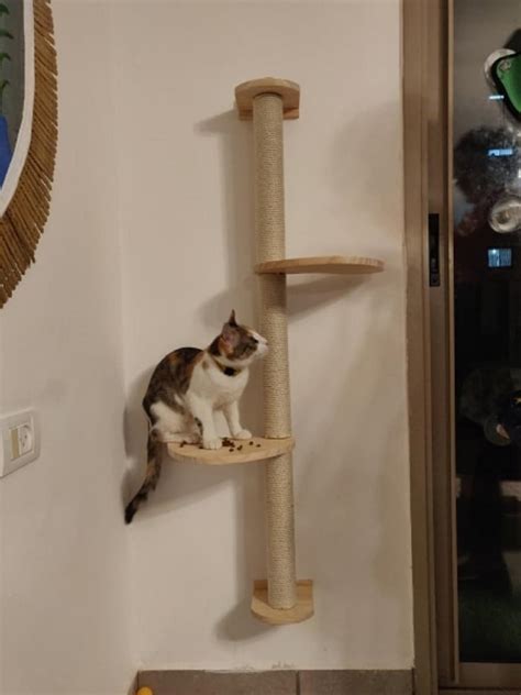 Wall Mounted Cat Scratching Post With Wooden Platform Cat Etsy