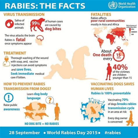 Who Joins International Calls To Invest More In Defeating Human Rabies