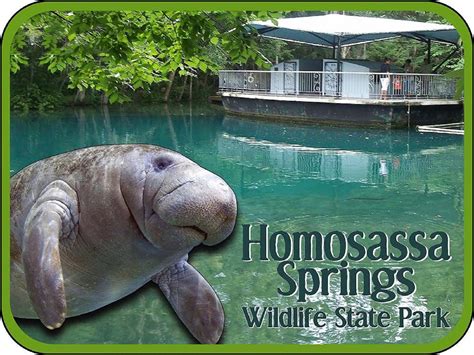 Homosassa Springs Wildlife State Park Florida With Manatee Etsy