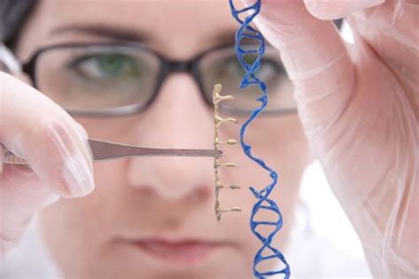 ¿qué Es La Ingeniería Genética