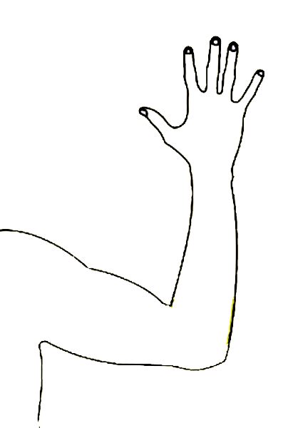 Arm Coloring Page