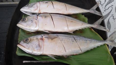 Jenis Ikan Yang Umum Dikonsumsi Masyarakat Indonesia Kamu Juga