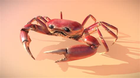 crab 3d model by madseb [1d79d40] sketchfab