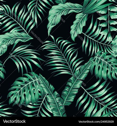 Green Tropical Leaves Seamless Pattern Black Vector Image