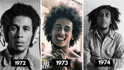 Bob Marley Dreads Evolution Heartafact