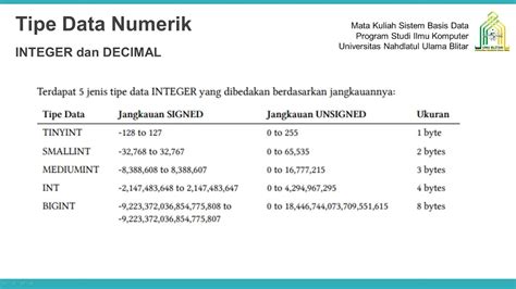 Basis Data Tipe Data Numerik INTEGER Dan DECIMAL YouTube