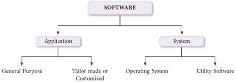 A software or computer software essentially a type of programs which enable the users to perform some particular specific task or actually used to operate their computer. Notes of Ch 1 Computer and its components Computer| Class ...