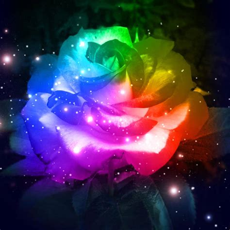 Rainbow Galaxy Rose By Missjanellexo On Deviantart