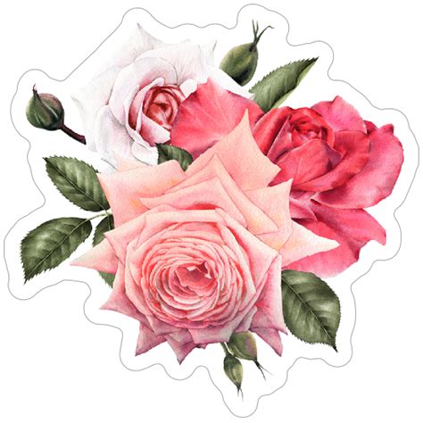 Elegant Roses Flower Sticker