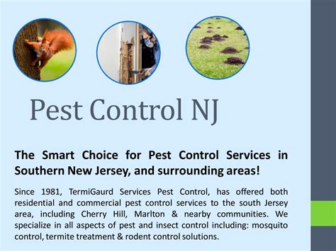 Termite Pest Control NJ By Pest Control Berlin NJ Issuu