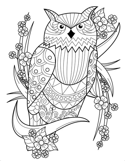 Adult Coloring Book Bird Pattern For Beginners Learn To Draw Books