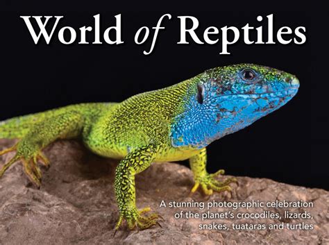 World Of Reptiles A Stunning Photographic Celebration Of The Planets