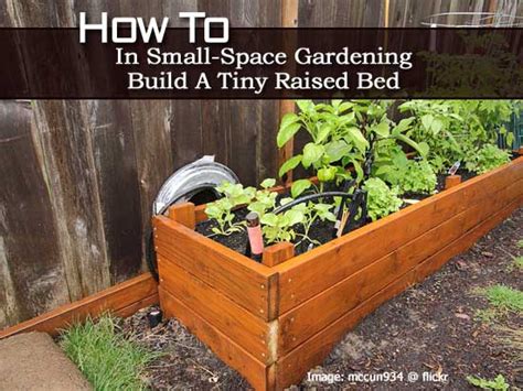 How To In Small Space Gardening Build A Tiny Raised Bed