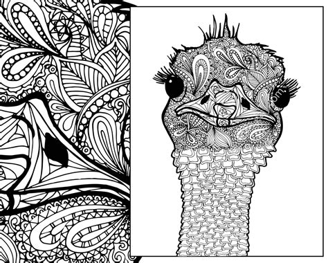 Ostrich Coloring Sheet Animal Coloring Pdf Zentangle Adult