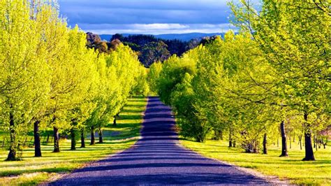 Most Beautiful Scenic Wallpapers Pathway Wallpapers