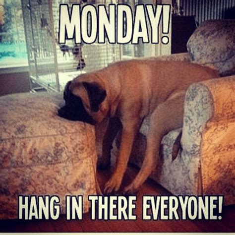 Mondays Morning Quotes Funny Funny Good Morning Quotes Funny