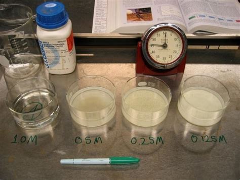 Experiment The Rate Of Reactions And Temperature Free Zimsec