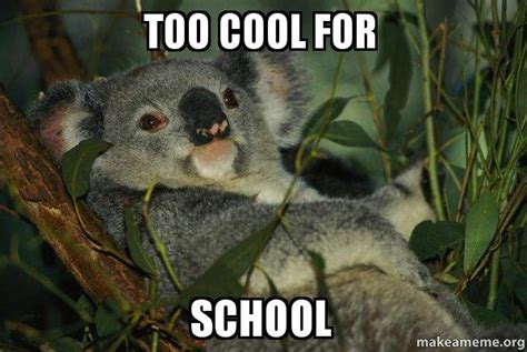 Too Cool For School Laid Back Koala Make A Meme