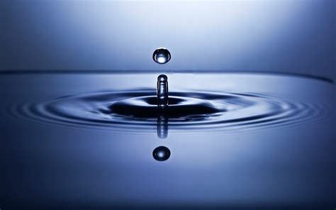 Water Drop Photos Download The Best Free Water Drop Stock Photos And Hd