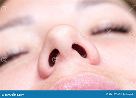 Macro Of Woman Nose Stock Photo Image Of Closeup Health