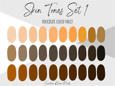 Skin Tones Procreate Palette Skin Color Swatches Instant Etsy Canada