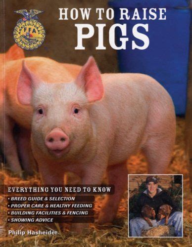 12 Tips On How To Raise Pigs For Meat Pet Pigs Raising Chickens Pig