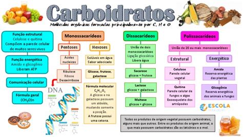 Mapa Mental Carboidratos Pdf Glicose Carboidratos
