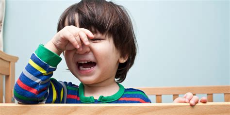 Dealing With Toddler Tantrums Tell Me Baby