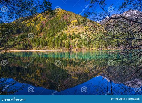 Autumn Forest And Lake Landscape In Jiuzhaigou Stock Photo Image Of