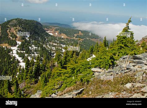 Summer View On Mount Washington Vancouver Island Stock Photo Royalty