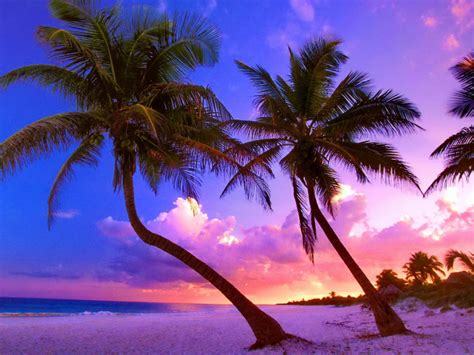 Wallpaper Exotic Beach Near Cancun Mexico Hd Widescreen High Definition Fullscreen