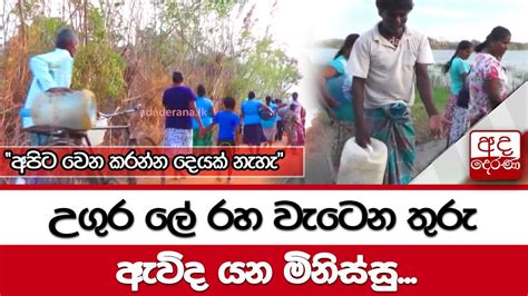 උගුර ලේ රහ වැටෙන තුරු ඇවිද යන මිනිස්සුඅපිට වෙන කරන්න දෙයක් නැහැ