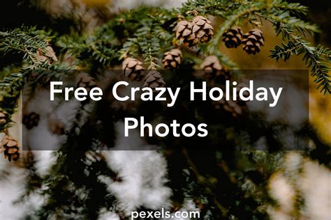 500 Beautiful Crazy Holiday Photos · Pexels · Free Stock Photos