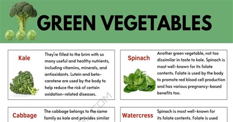 Green Vegetables List Of 33 Green Vegetables And Their Benefits 7esl
