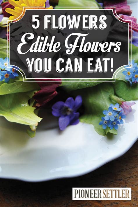 Then you've eaten a flower! Edible Flowers | 5 Flowers You Can Eat! - Total Survival