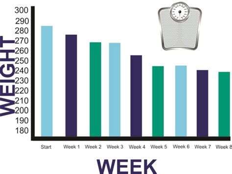 Weight Loss Chart And Journal