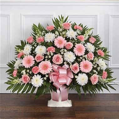 Check spelling or type a new query. Pink Memories Tribute - Main Florist