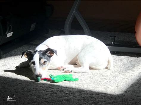 Pin on Cleaning and clutter