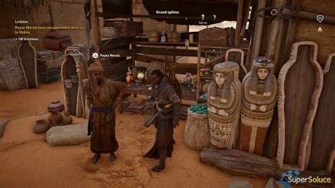 La Hyène Soluce Assassin s Creed Origins SuperSoluce