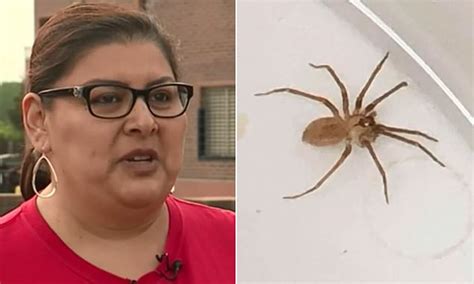 Swishing In Missouri Womans Ear Was A Poisonous Spider Doctors Discover