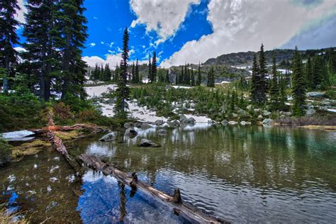 Free Images Tree Wilderness Lake River Mountain Range Pond