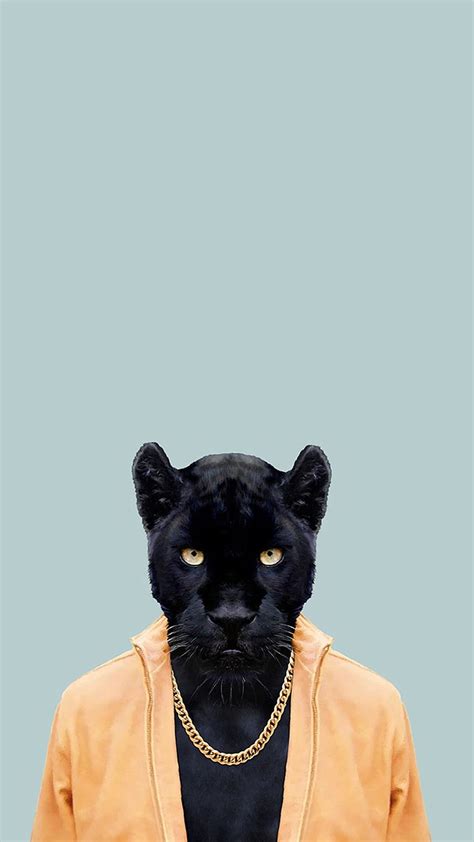 Black Panther Iphone Cool Black Panther Animal Hd Phone Wallpaper Pxfuel