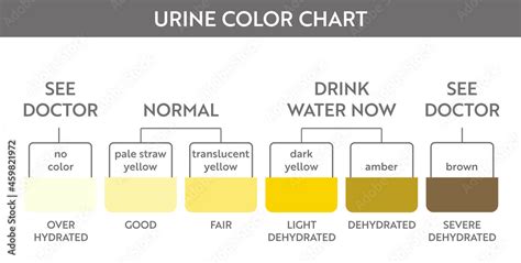 Urine Color Chart For Dehydration My Xxx Hot Girl