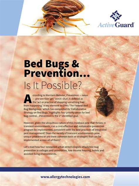 Bed Bugs And Prevention Is It Possible Sponsored By Allergy