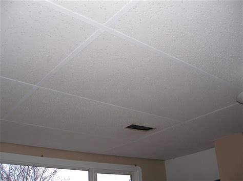 Please call 888.231.7500 or chat with us to access. Painting that Thing Called the Suspended Ceiling System ...